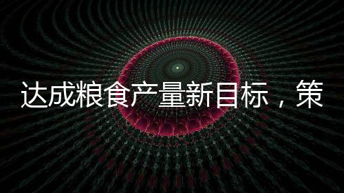 达成粮食产量新目标，策略与实践之路