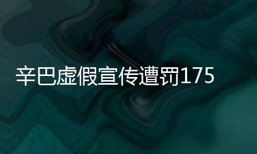 辛巴虚假宣传遭罚175万，行业监管下的警示案例