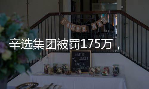 辛选集团被罚175万，违规操作引发关注