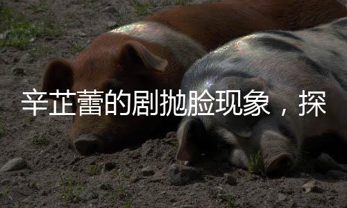 辛芷蕾的剧抛脸现象，探究抛离原作距离的现象及其背后的故事