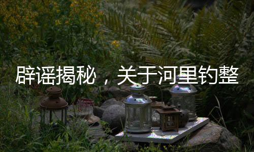 辟谣揭秘，关于河里钓整箱现金的真相