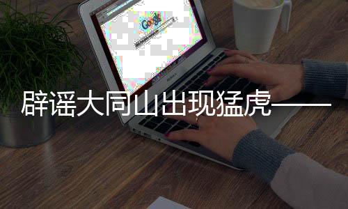 辟谣大同山出现猛虎——事实真相揭秘