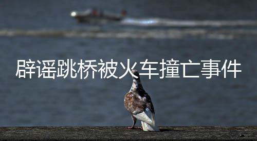 辟谣跳桥被火车撞亡事件，真相调查与事实陈述