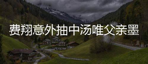费翔意外抽中汤唯父亲墨宝，揭示深厚文化缘分