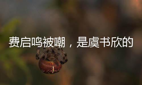 费启鸣被嘲，是虞书欣的嫁妆吗？