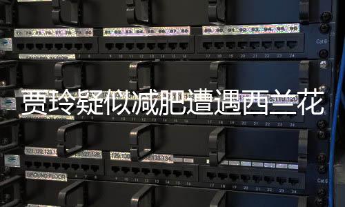 贾玲疑似减肥遭遇西兰花逆境
