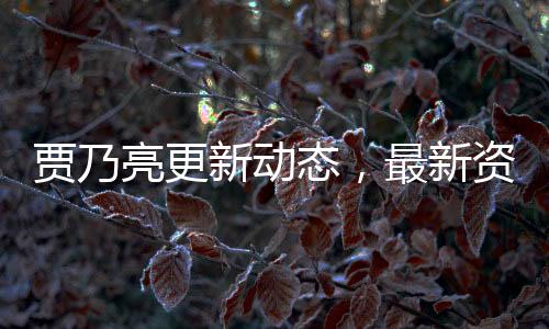 贾乃亮更新动态，最新资讯与深度解读