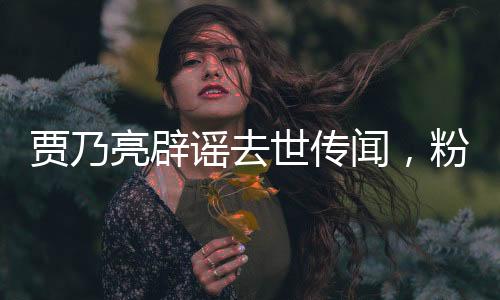 贾乃亮辟谣去世传闻，粉碎不实传言，明星维权保护正当权益