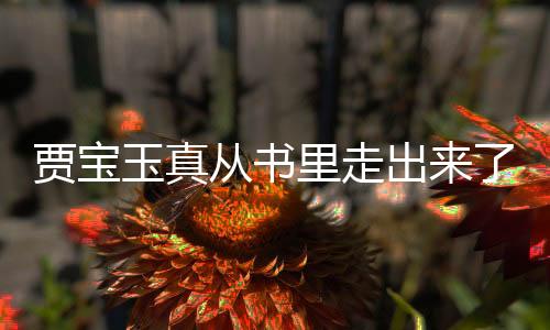 贾宝玉真从书里走出来了，一场奇幻的文化盛宴
