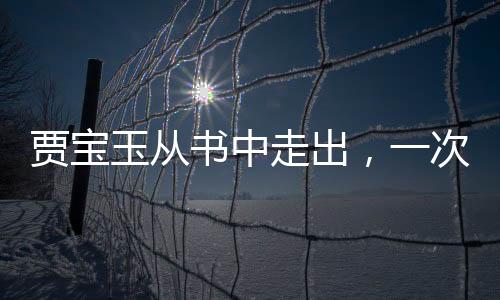贾宝玉从书中走出，一次跨越时空的奇遇