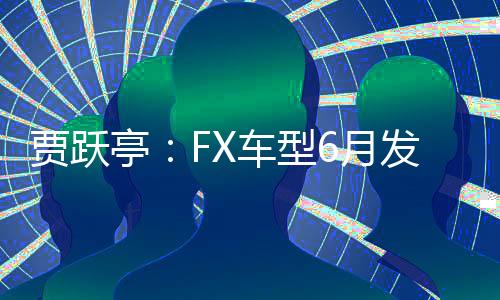 贾跃亭：FX车型6月发布首款产品 年内首车下线并产生收入
