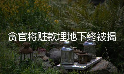 贪官将赃款埋地下终被揭露，法治严惩腐败的坚决立场
