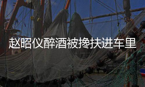 赵昭仪醉酒被搀扶进车里，一幕星光下的迷离夜