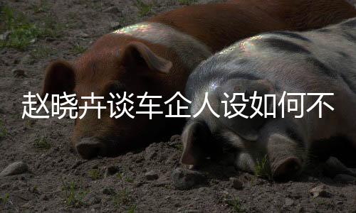 赵晓卉谈车企人设如何不翻车
