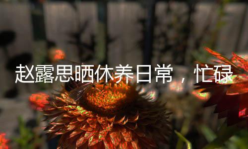赵露思晒休养日常，忙碌中的悠闲时光