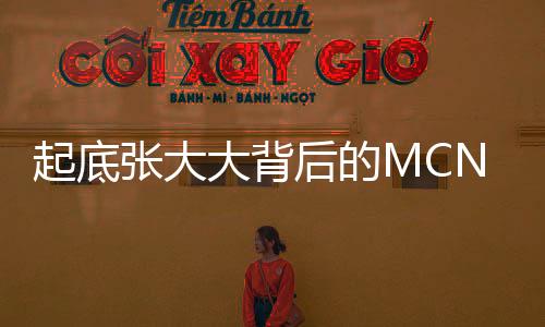 起底张大大背后的MCN公司，揭秘网红背后的神秘力量