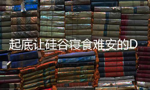 起底让硅谷寝食难安的DeepSeek
