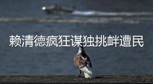 赖清德疯狂谋独挑衅遭民众怒斥