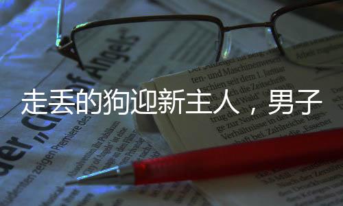 走丢的狗迎新主人，男子温情相遇牵走失犬
