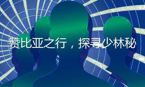 赞比亚之行，探寻少林秘境的独特体验