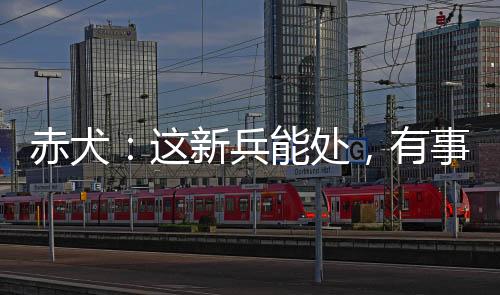 赤犬：这新兵能处，有事他真上！