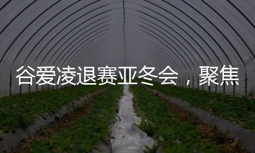 谷爱凌退赛亚冬会，聚焦背后原因及展望