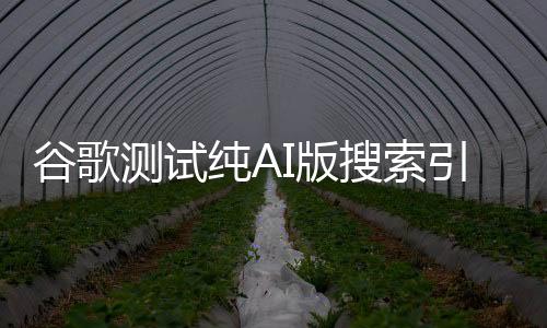 谷歌测试纯AI版搜索引擎 取消传统展示形式