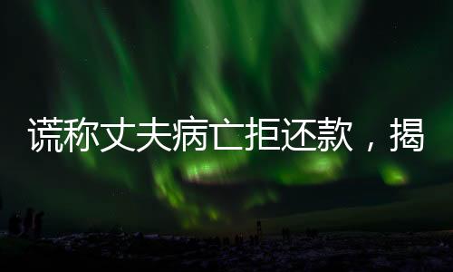 谎称丈夫病亡拒还款，揭示背后的真相与法律探讨