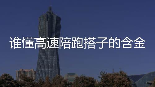 谁懂高速陪跑搭子的含金量