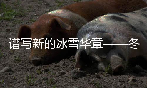 谱写新的冰雪华章——冬季运动中的精彩篇章