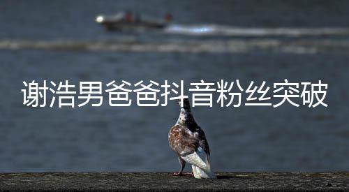 谢浩男爸爸抖音粉丝突破百万大关，探秘网红之路