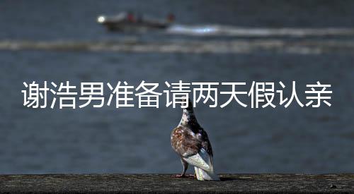 谢浩男准备请两天假认亲，一场关乎家庭情感的温情之旅