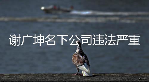 谢广坤名下公司违法严重，涉嫌违规行为引关注