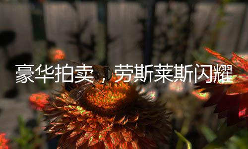 豪华拍卖，劳斯莱斯闪耀成交，510万天价揭晓