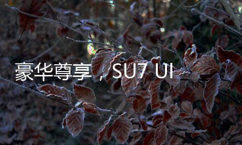 豪华尊享，SU7 Ultra首批车主获赠珍贵24K碳纤维车标