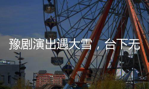 豫剧演出遇大雪，台下无人演员仍倾情献艺——风雪中的艺术坚守