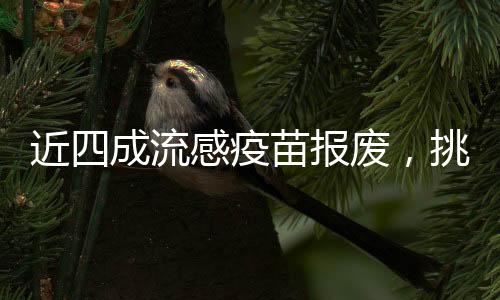 近四成流感疫苗报废，挑战与应对策略