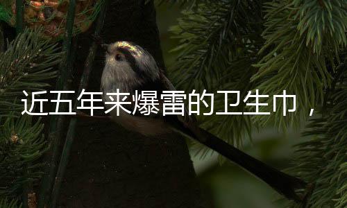 近五年来爆雷的卫生巾，行业观察与反思
