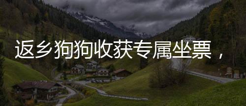 返乡狗狗收获专属坐票，暖心故事触动人心