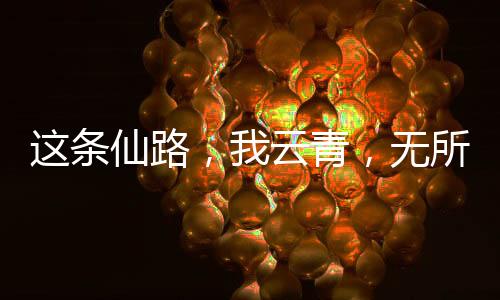 这条仙路，我云青，无所不用其极