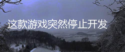 这款游戏突然停止开发 因为开发者被判入狱三年