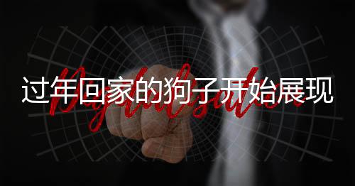 过年回家的狗子开始展现家务技能，宠物智能与家庭新风尚