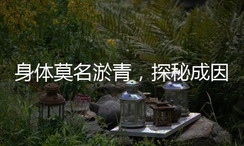身体莫名淤青，探秘成因及应对之道