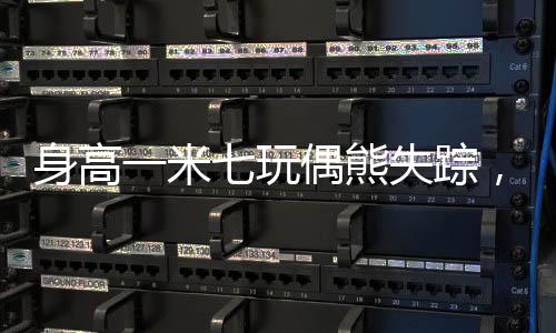 身高一米七玩偶熊失踪，探秘背后神秘故事