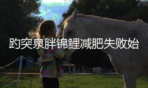 趵突泉胖锦鲤减肥失败始末