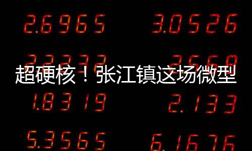 超硬核！张江镇这场微型消防站比武竞赛“火力全开”