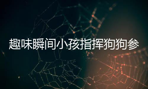 趣味瞬间小孩指挥狗狗参与作业撕纸大战，笑容满满藏不住