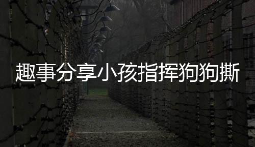 趣事分享小孩指挥狗狗撕作业，纯真笑容藏不住