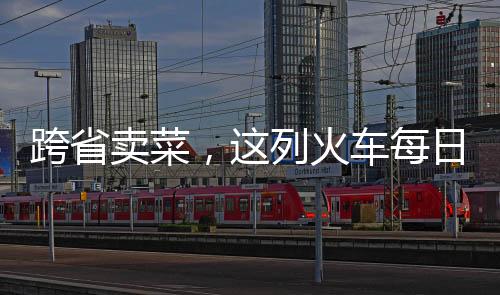 跨省卖菜，这列火车每日搭载逾两百人传递生机