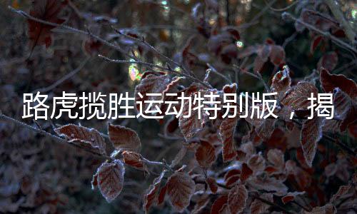 路虎揽胜运动特别版，揭秘新款豪华SUV在细节之处的大升级